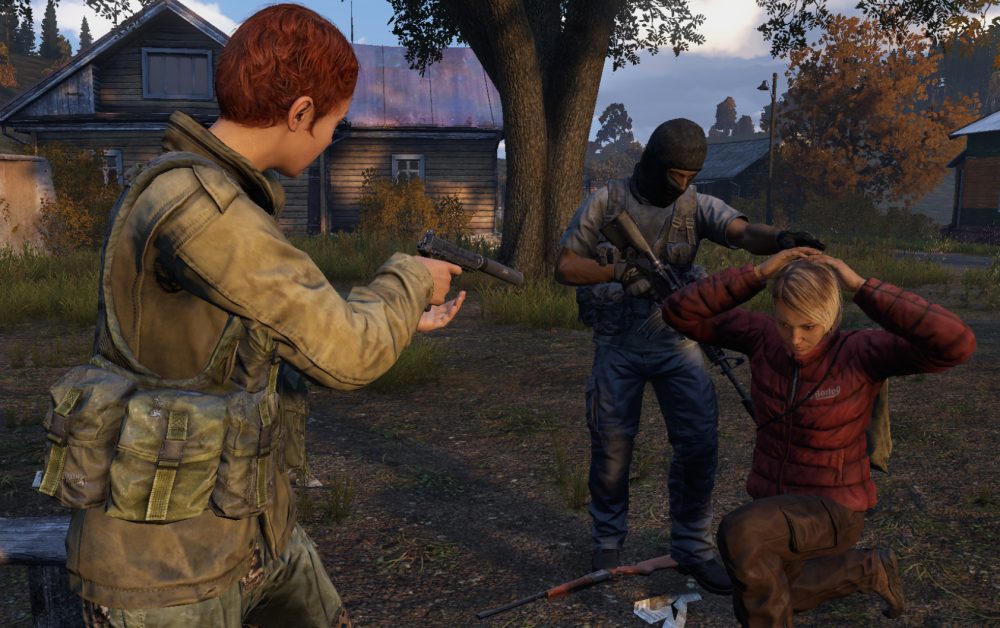 DayZ server art 2
